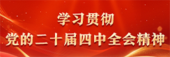 学习贯彻党的二十届四中全会精神